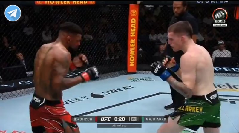 Чемпион юфс в легком весе 2023. Кард турнира ufc 280. Бойцы юфс полутяжелого веса. Юфс файт найт полный кард. 03 2024.